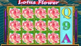 Lotus Flower Slot / Max Bet [$20] / Nice Free Spins and BIG WINS