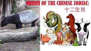Origin of the Chinese Zodiac, 12 Animals, 5 Elements, 10 Branches, Yin/Yang