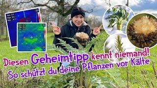  Geheimtipp: So überwintern empfindliche Kräuter & Gemüse im Garten – Das kennt wirklich keiner! ️