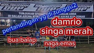 pertadingan yg di tunggu2 damrio vs singa merah tarik tambang siliwangi cup ngembal kemangi