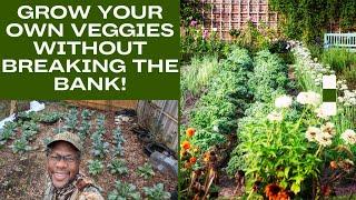 Money Budget-Friendly Vegetable Garden Tips: Grow More Food for Less!