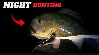 NIGHT HUNTING || SPEARFISHING PHILIPPINES || BANTON ROMBLON || MEL SPEARFISHING TV!️