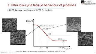 Exploring the Local Fatigue Approaches to Improve the Structural Integrity of Metallic Structures...