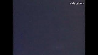  Walt Disney World Resort Top 7 Must Sees / Must Do Disney With Stacey J. Aswad HD 1080p60