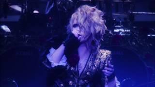 Versailles - Faith & Decision