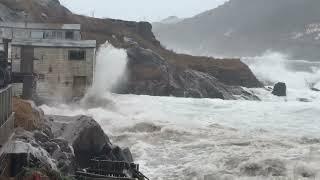 Epic sea conditions at the battery St. John’s Newfoundland January 5, 2025