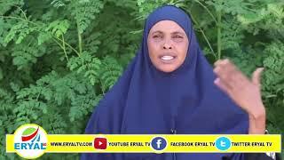 Gudida Arimaha Sharciga Iyo Doorooshooyinka Somaliya Oo Kulan La Qaatay Golaha Wasiirada KFGS