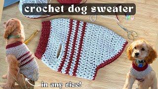 crochet dog sweater tutorial | quick & easy crochet projects for beginners