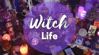 Tis MAGIC Season! || Altars, Witch Books, Tarot, Cats