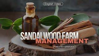 Sandalwood Farm - ENGLISH VIDEO DARVI GROUP