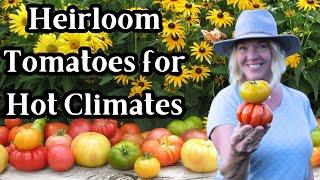 Top 10 Heirloom Tomato Varieties I Plant for my Hot Climate