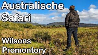 Wombats und Baby Emus auf australischer Safari - Nationalpark Wilsons Prom - Weltreise Vlog 023