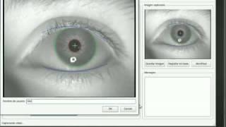 Iris recognition