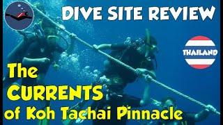 Koh Tachai Pinnacle, Thailand | Strong currents, but great marine life