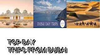 Top  Day Trips from Dubai