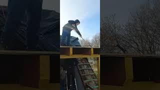Помощники на стройке #жизнь #как #мир