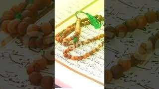 Saitah kamilah tilawth hadiah biswath Abdurehman masait v Ahmed kizer arahi qalbik tilawth 1#quran