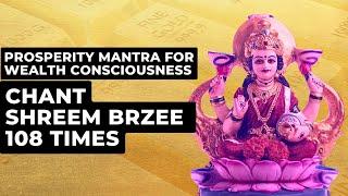 Prosperity Mantra For Wealth Consciousness | Chant Shreem Brzee 108 Times