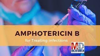 Amphotericin B for Treating Infections