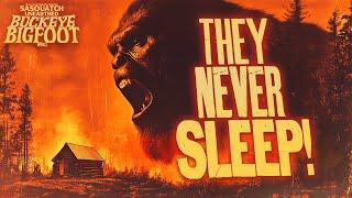 They Never Sleep - Sasquatch Unearthed: Buckeye Bigfoot (New Evidence and Encounters)