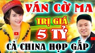 CỜ TƯỚNG MỚI | GÁI MÈO PHẾ MÃ XE ÁC ÔN CẢ CHINA HỌP GẤP