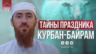 ТАЙНЫ ПРАЗДНИКА КУРБАН-БАЙРАМ | Ид аль-Адха