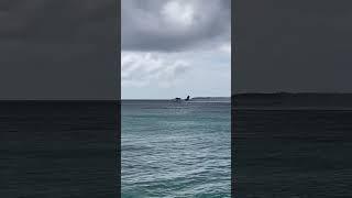 De Havilland Canada DHC Twin Otter seaplane take off at sea Baa Atoll Maldives