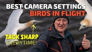 Best Camera Settings for Birds in Flight.