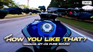 YOU NEED TO HEAR THIS ! | Yamaha MT-09 + Yoshimura R55 ASMR [4K]