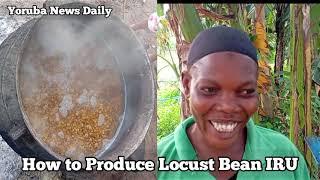 How to make Iru Locust beans in Nigerian village - Woman explains