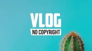 Tom Spander - Avian (Vlog No Copyright Music)