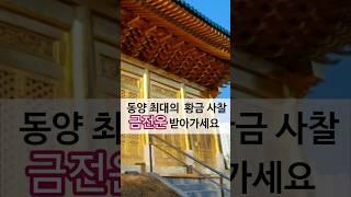 동양최대의 황금 사찰여행 서울수국사 목탁소리 금전운  Korea seoul buddhist temple 반야심경 천수경 나무아미타불 佛像 韓国 寺院 #buddhism #buddha