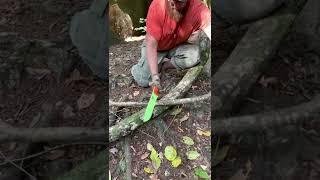 ESEE JUNGLAS Processing Wood At Camp 2022