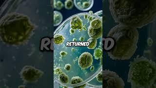 The Scientific Accident That Saved Millions: Alexander Fleming and Penicillin