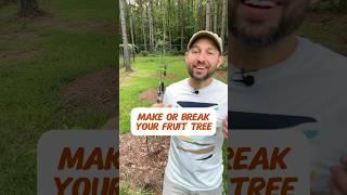 Make or Break Your Fruit Tree #shorts #fruittrees #gardening #fruittree #fruitplants #garden