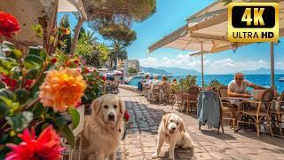 Cannes - the most beautiful old city in France | Walking tour 4K