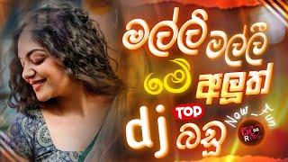 New Dj Remix Sinhala Nonstop 2025 | Trending Sinhala Song | Best Audio Nonstop | Sadagana Remix