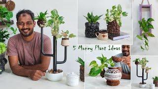 5 Trash to Treasure Money Plant and Easy House Plants Decoration Ideas For Empty Space//GREEN PLANTS
