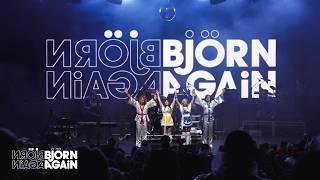 Bjorn Again | The World's No 1 ABBA Tribute Show