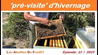 pré visite hivernale !!! #apiculteur #abeille #LADF#apiculture#buckfast#essaim#ruche