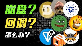 BTC要跌？山寨币崩了？SUI | WIF | BONK | LTC | FLOKI | DOGE | EOS | LINK | PEPE | SHIB | 加密货币