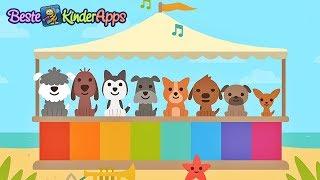 Kleinkinder lernen  Zahlen zählen (deutsch)  Sago Mini Hunde Kindergarten App