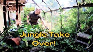 Jungle SWALLOWS UP Entire Greenhouse!