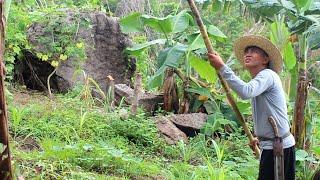 Cooking (Banana Heart Blossom) KINILAW | CHAYOTE  | Kabagis