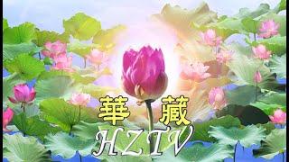 華藏衛視網路直播HZTV LIVE－淨空老和尚講經弘法的道場