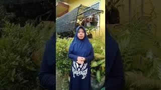 VID 20211214 WA0015