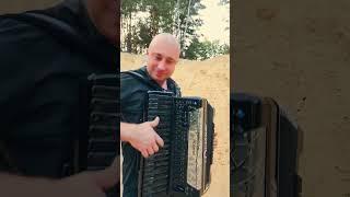 You Are Not Alone - Prusiński Accordion Show #shorts