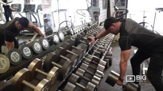 Muscle Factory Gym Ltd Fitness Gym in London for Workout and Exercise