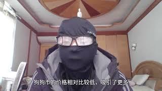 狗狗币即将暴涨32698%！马斯克发布声明，狗狗币将改变金融游戏规则的深度分析！DOGECOIN技术与金融的碰撞！马斯克的愿景：推动普惠金融与技术革新！狗狗币的未来方向与马斯克的推动力！