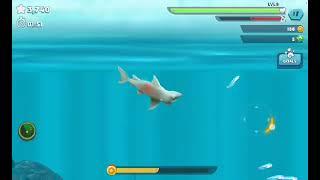 Hungry Shark Evolution Gameplay | Reef Shark #games #gaming #yt #youtubegaming #youtube